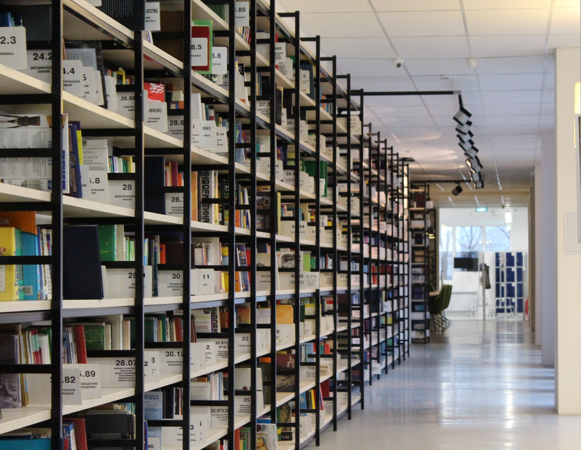 What Are Open Access Government Policies and How to Implement an Open Data Policy?